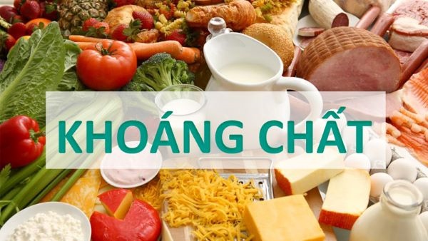 Khoáng chất bảo vệ cho hệ tiêu hóa của trẻ