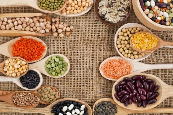 Các loại hạt có chứa protein phát triển cơ và xương, tăng miễn dịch cho trẻ nhỏ