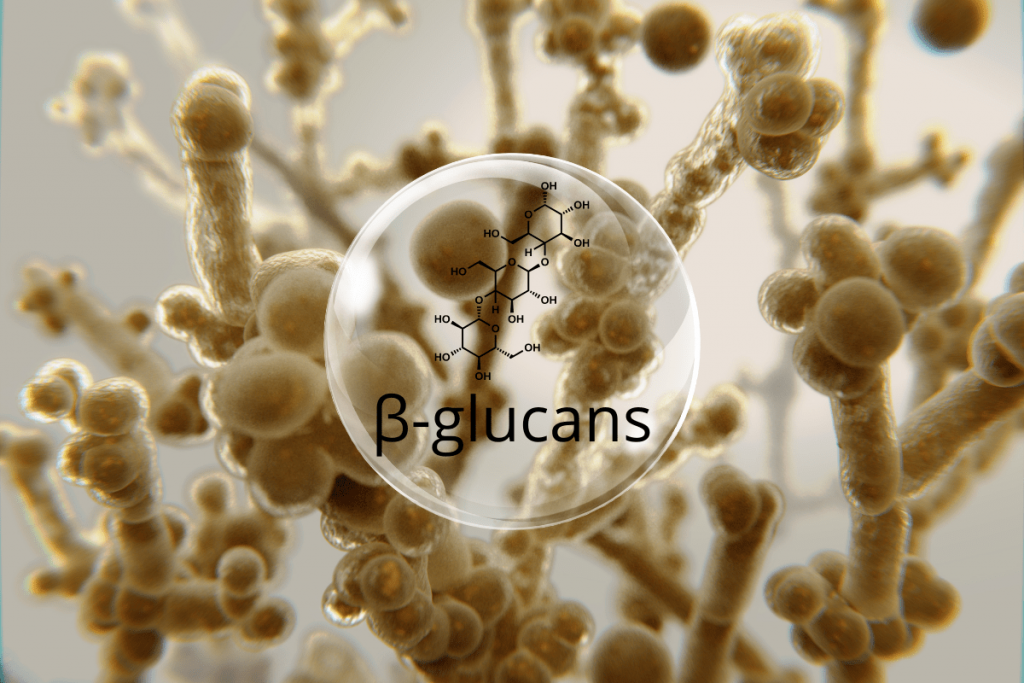 Beta Glucan - Kích thích hệ miễn dịch