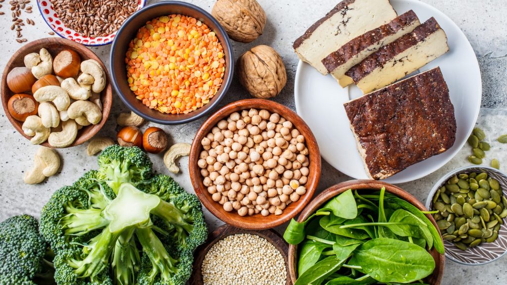 Nhóm protein thực vật dễ tiêu hóa