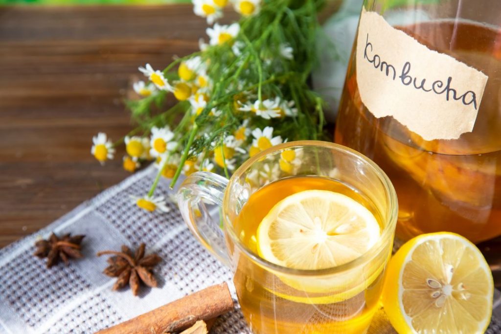 Trà kombucha giàu chất chống oxy hóa và axit hữu cơ